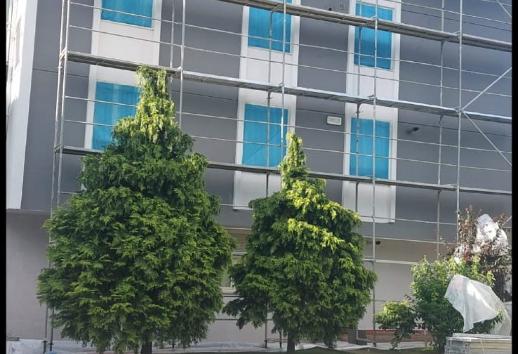 WhatsApp Görsel 2025-08-12 saat 17.17.17_18d67e44